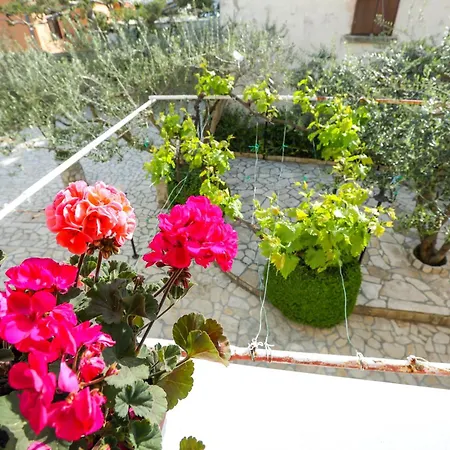 Appartement Pero *
